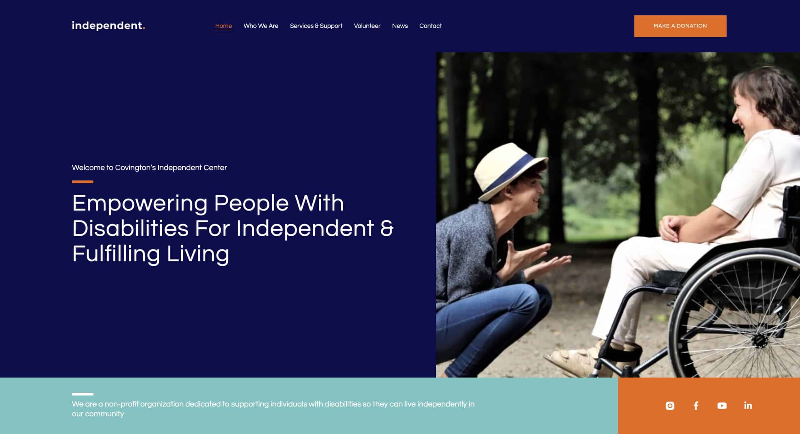 Non-Governmental Organization Template