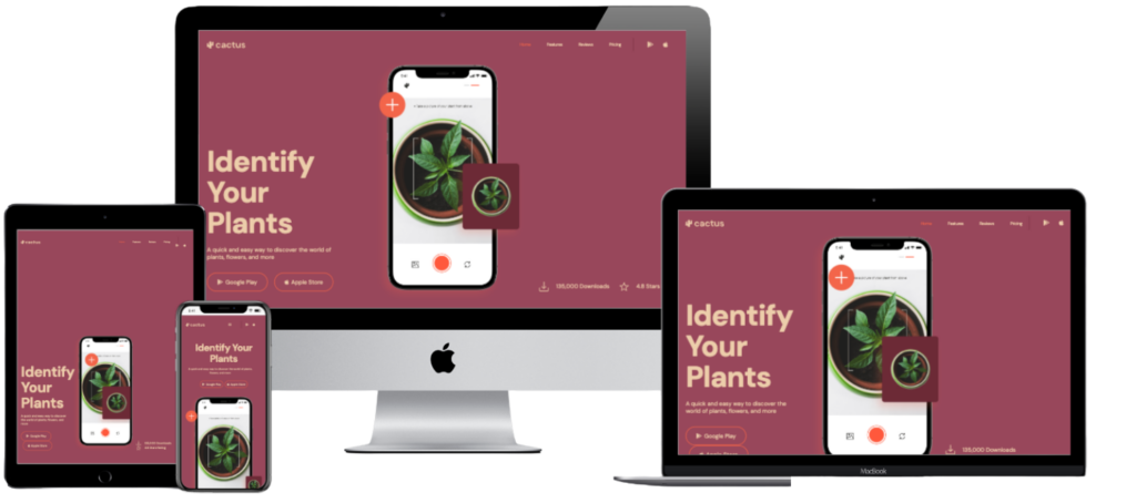 App & SaaS Development