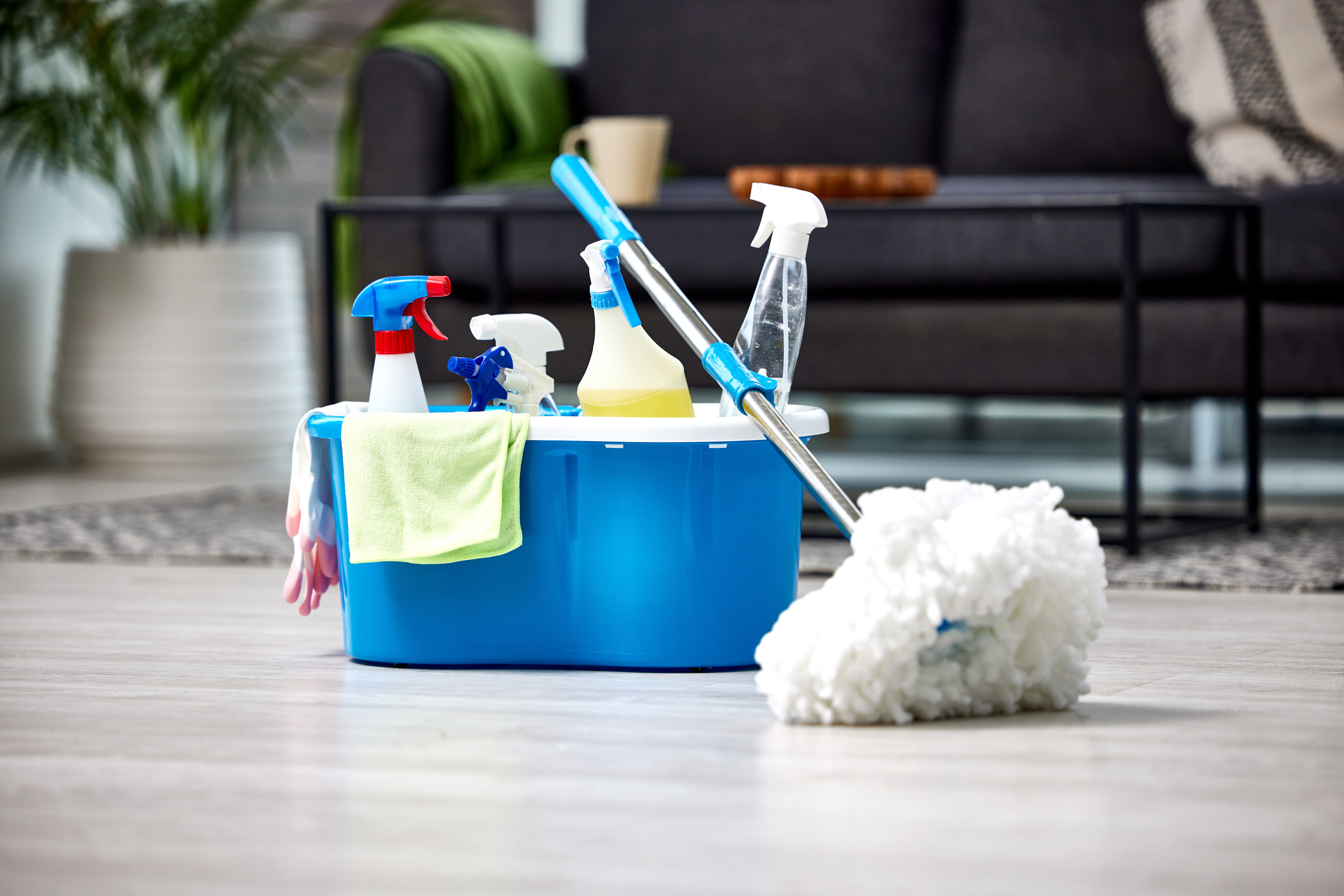 Cleaning Company Web Design