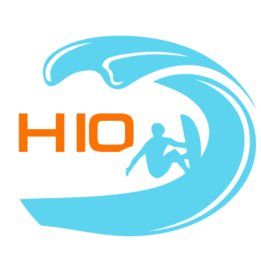 Hang 10 Digital: San Diego Web Design & Marketing logo